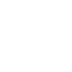 nuts